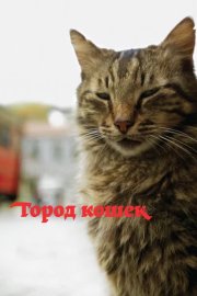 Город кошек смотреть онлайн